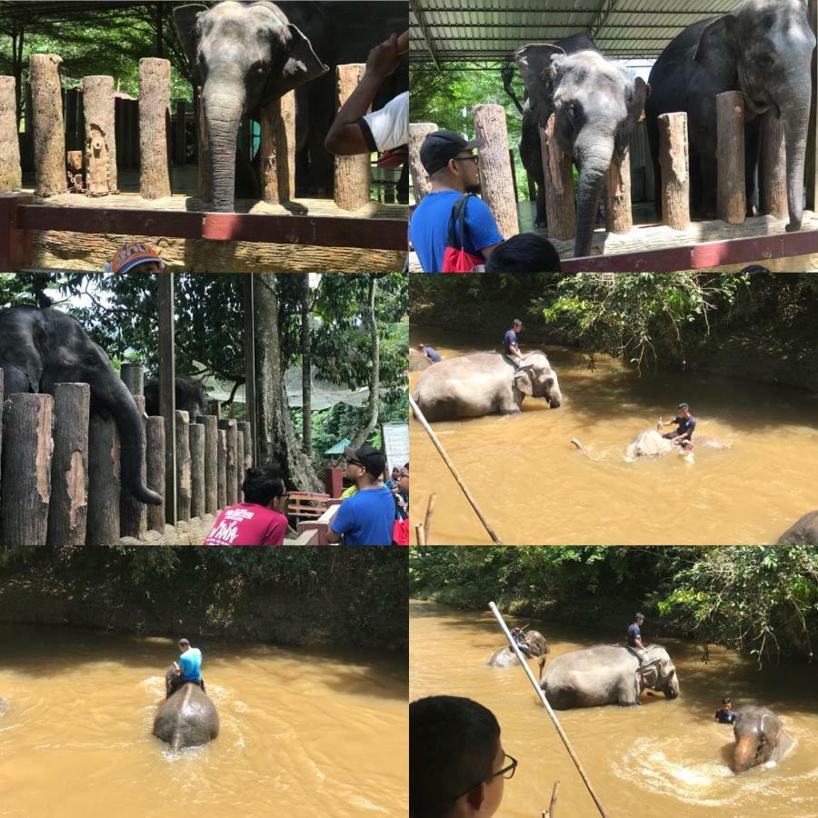 Patin Guest House @Desa Telok Ira, Temerloh Pahang Kampong Paya Kerinau エクステリア 写真
